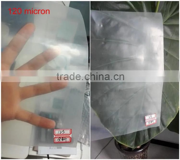 0.06 mm thickness black plastic garlic PE mulch film on hot selling
