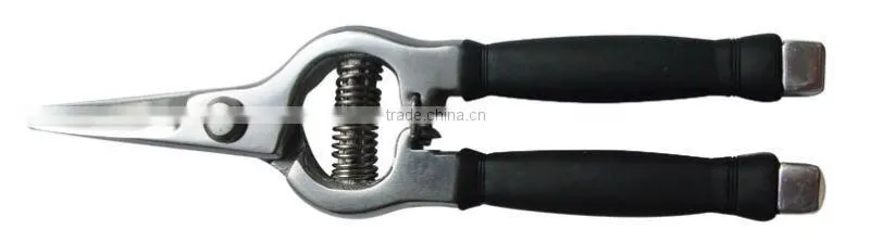 Stainless Steel Fower Snips