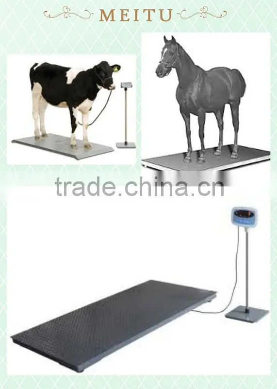 livestock platform scales