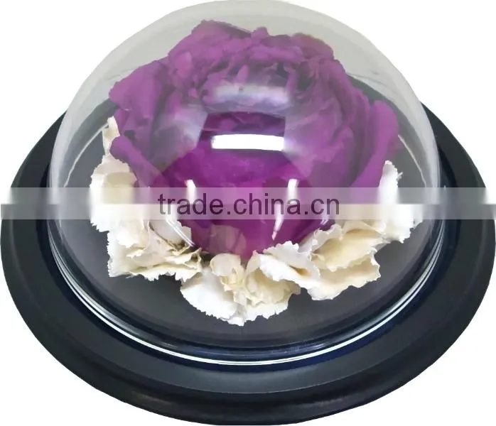 Custom clear acrylic dome display, glass display dome, toy display dome