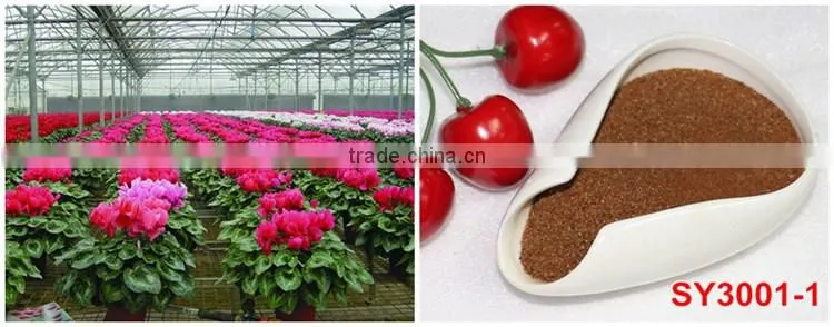 FAQ 12--Application Of Drip Irrigation Technique