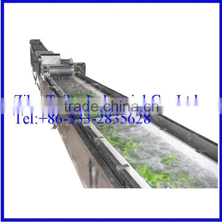 Professional manufacturer: industrial fruit washing machine for persimmons