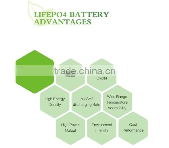 good performance 12v /24v electric golf trolly battery