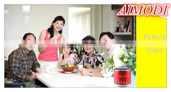 Multic-function mini speaker, Moblie mini speaker support FM function with induction function MN-02