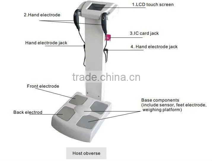 Professional body fat analyzer/body composition analyzer/body element analyzer TM-GS6.5