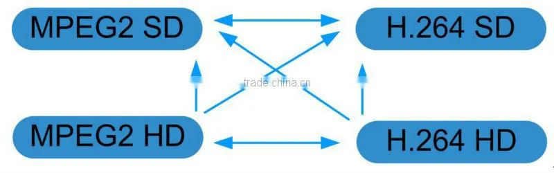IP2IP video transcoder