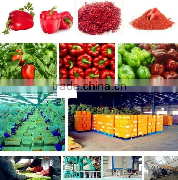 Dehtdrated vegetables red bell pepper granules(3*3mm,6*6mm,9*9mm)
