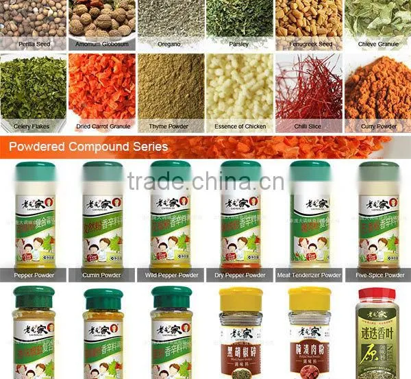 flavored instant noodles seasoning