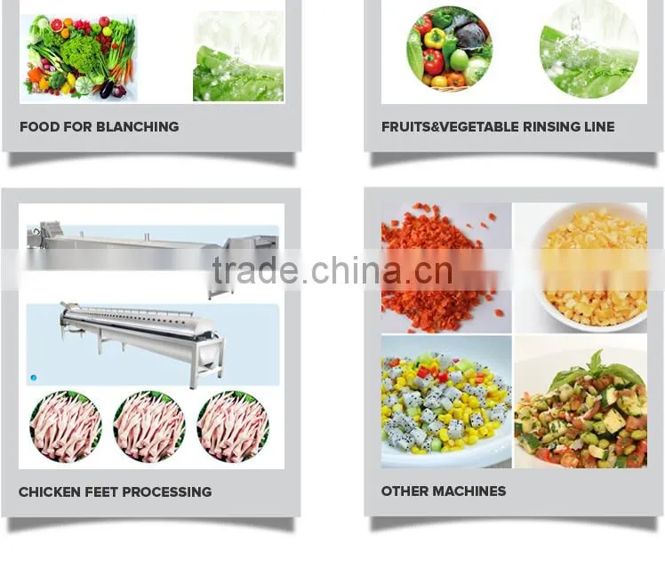 2016 High Quality New Design Best Price for Industrial Fruit Chopper