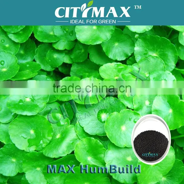 60% Humic Acid Price As Soil Conditional