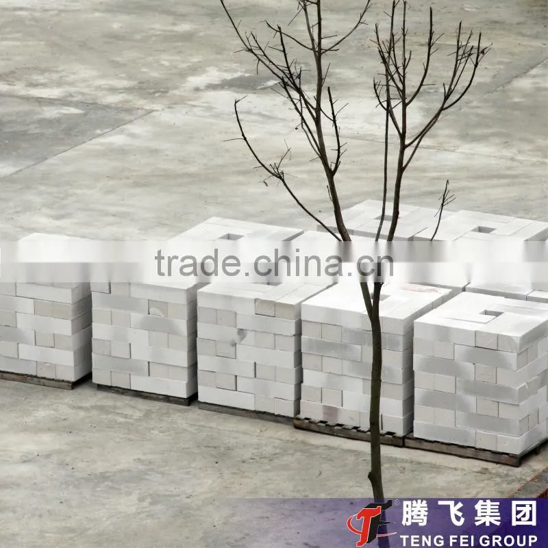 Professional production-Henan Teng Fei150,000m3 aac brick