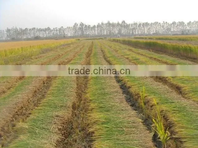 2017 hot sale Mini reaper binder-combine harvester