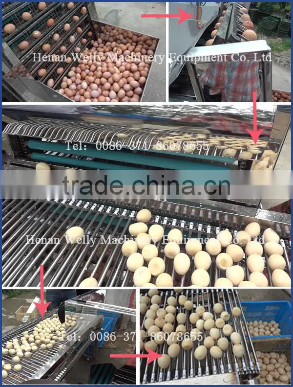 Low price advanced design hen egg shell removing machine