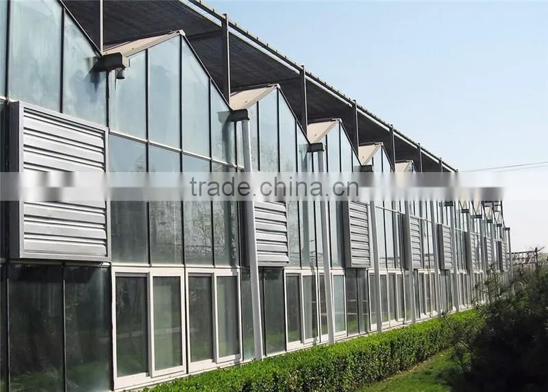 Light steel structure multi span glass greenhouse for modern agriculture