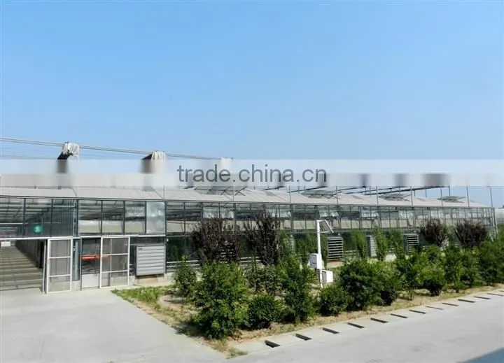 Glass in greenhouse for sale