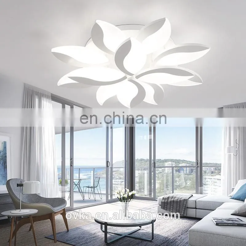 Modern simple high quality led ceiling light for living room