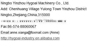 Hydraulic motor