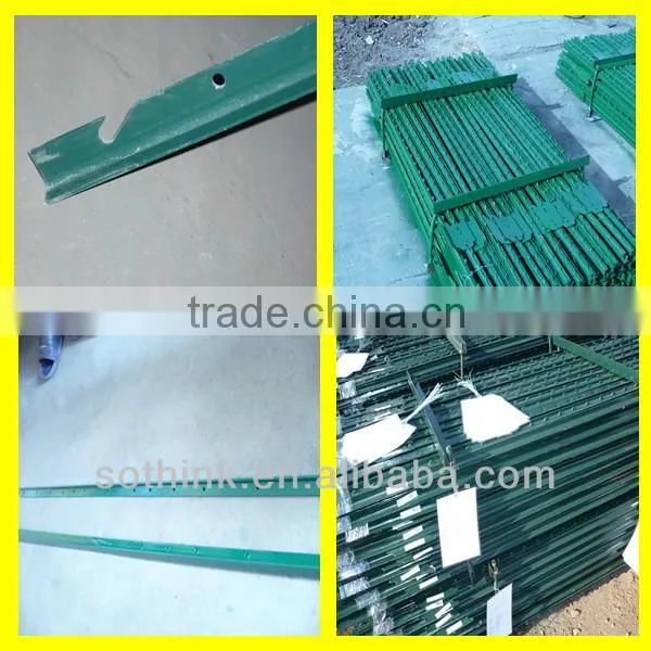 American Studded T Post Green