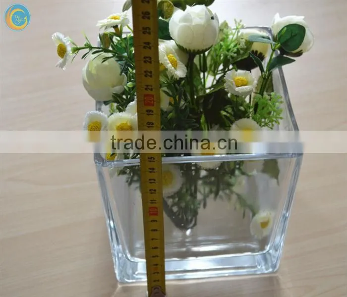 plant pot rectangular glass vase