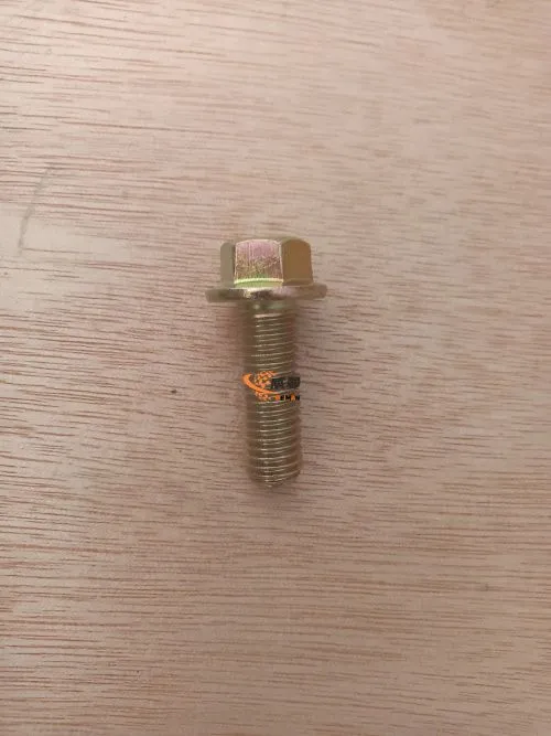 Bolt 4011000475 1.jpg