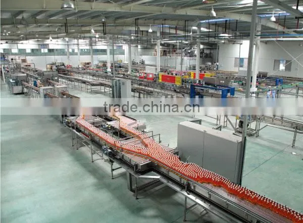 mineral water machine/pure water machine/purified water machine/water filling machine
