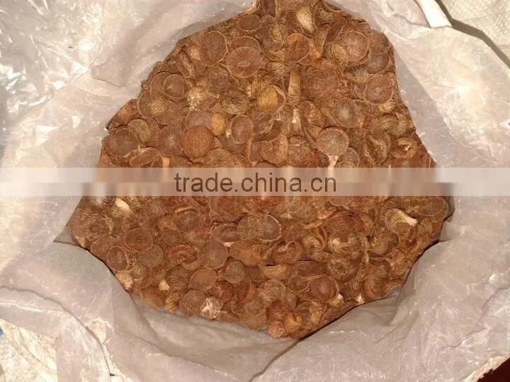 SELLING BOILED BETEL NUT Wrinkle seeds FROM VIETNAM