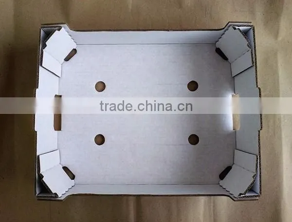 Best quality corrugated mango packing box