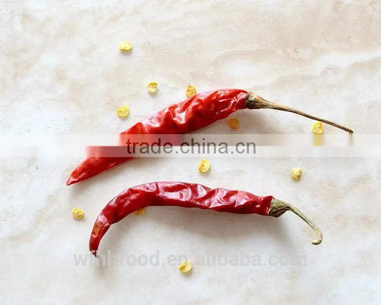 dry red chilli