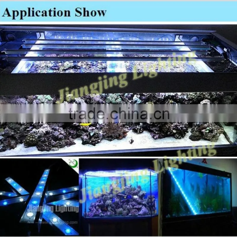 Best programmable led aquarium lighting marine use Fish Tank Light