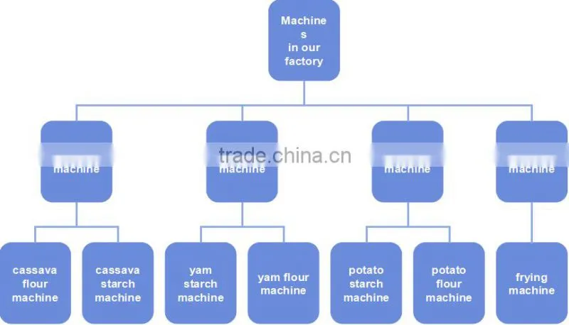 10T/day Tapioca flour making equipment | cassava flour processing machine