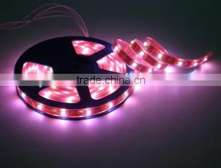 rechargeable led strip light