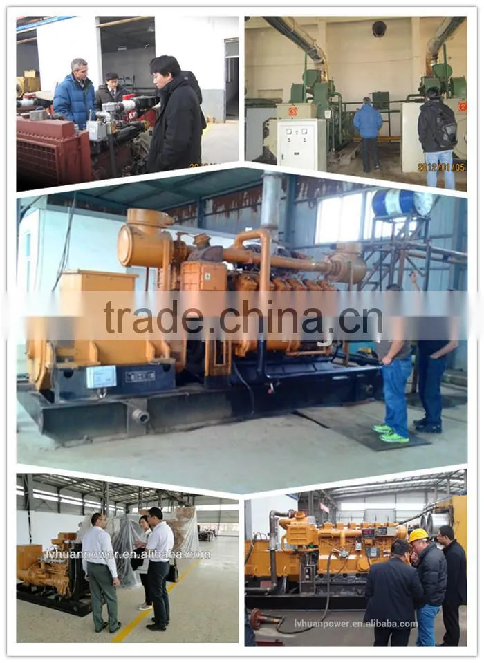 CE ISO Certificate Siemens Alternator hydrogen powered electricity generator