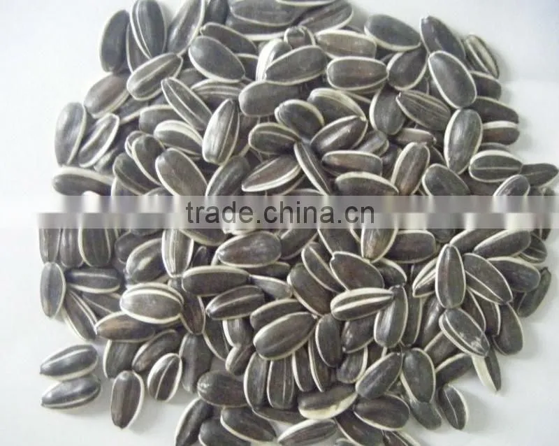 Raw sunflower seeds 0409 stye