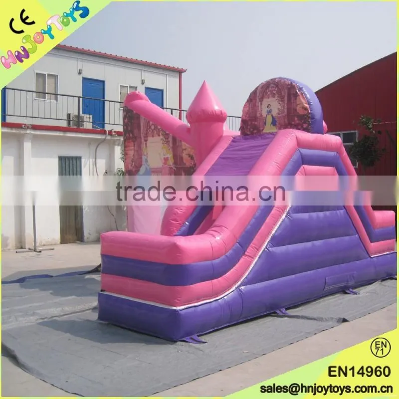 party used popular princess bouncy castle