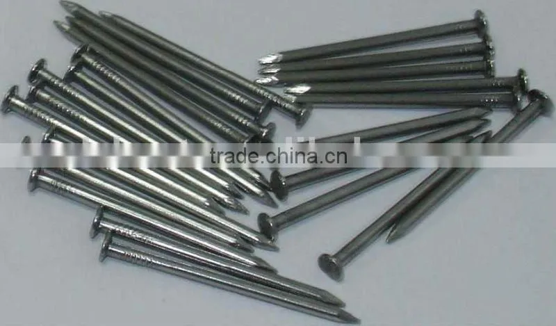 low price flat round iron common wire nail factory