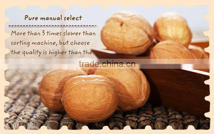 New crop dried fruit walnut