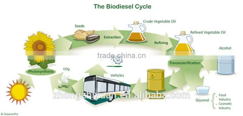 5 tons per day biodiesel processor Renewable Waste oil recycling