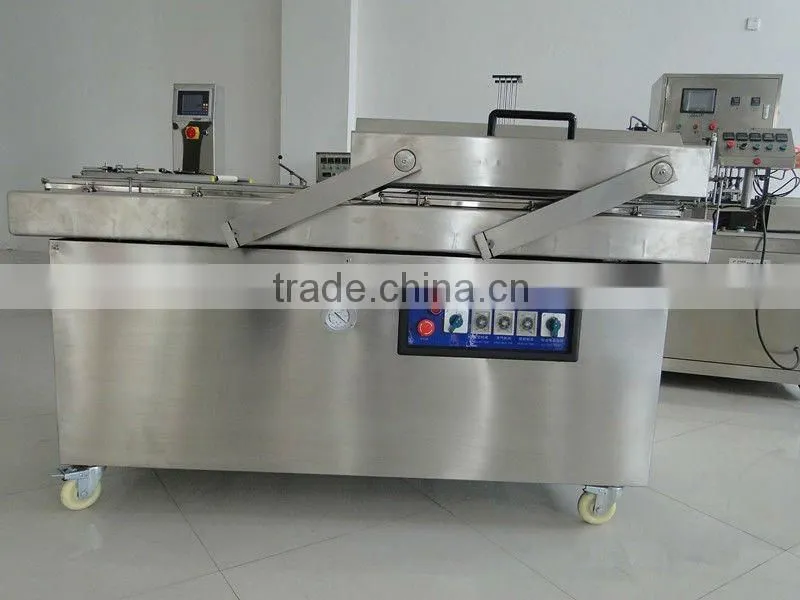 DZ800-2SB Automatic Vacuum Packaging Machine for frozen food