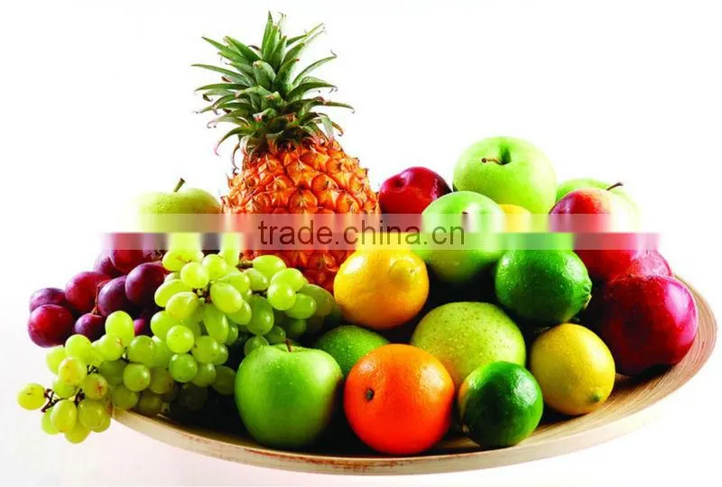 manual food blender