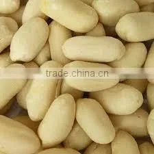 Peanut Exporters
