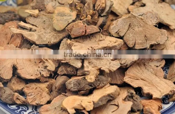 jin qiao mai root of buckwheat rhizoma fagopyri dibotryis