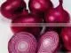 Red & Yellow egyptian onion