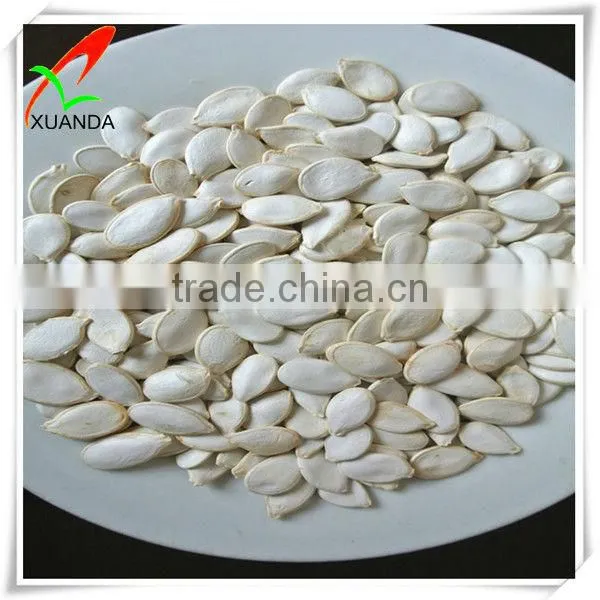 snow white all kinds pumpkin seeds