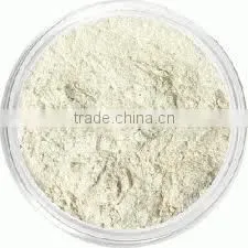 Halloysite Nanotubes powder