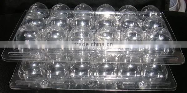 New Design Plastic Quail Egg Tray for Sale