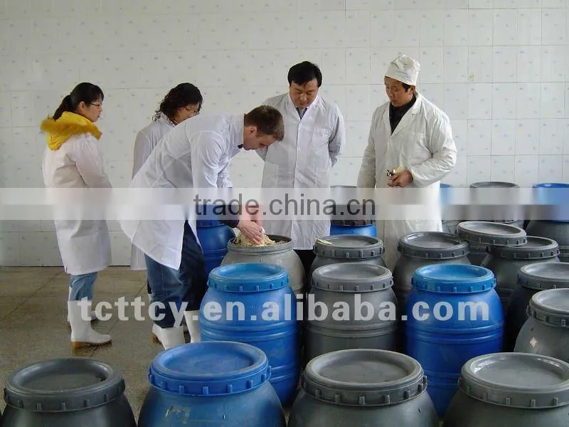 Dry Casing