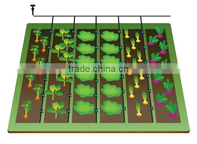 CYLR Design For Each Customer Save Water Irrigation System