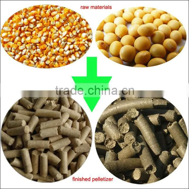 Chicken/Cattle/Rabbit/Cattle Small Feed Pelletizer Machine Equipment