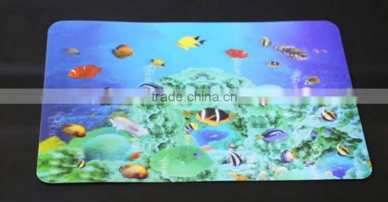 Store More Dining Room 3d Placemats for Table