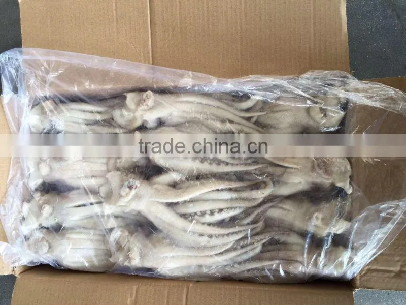 Illex Argentina Frozen Squid Wholesale Tentacle